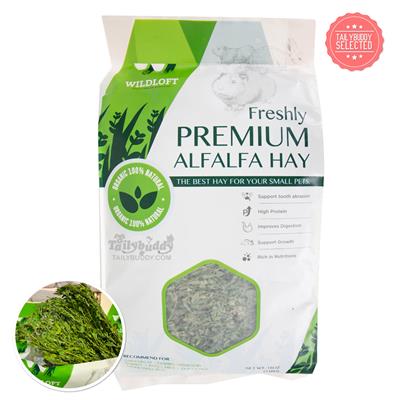 WILDLOFT Freshly Premium Alfalfa Organic 100% Natural Hay for Rabbits, Chinchillas, Gerbils, Guinea pigs (510g)